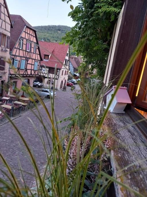 S'Gleina Gleck, In The Heart Of A Wine City, Charmant Studio 1 Piece Et 1 Salle De Bain Kaysersberg-Vignoble Eksteriør billede